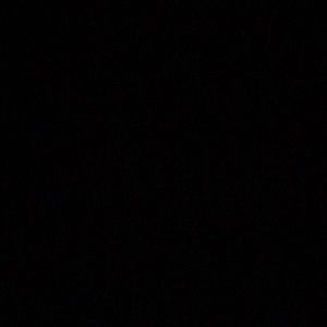 Meet your Posher, Noah